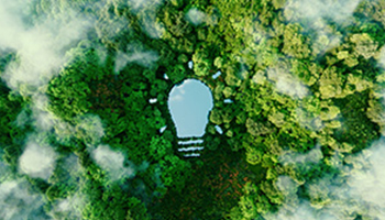 Eine grüne Waldlandschaft mit einem teichförmigen Lichtschein in Form einer Glühbirne, umgeben von Bäumen und Nebel.